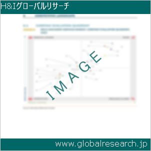 グローバルリサーチ調査レポートのイメージ